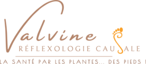 Logo Valvine Réflexo