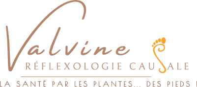 Logo Valvine Réflexo